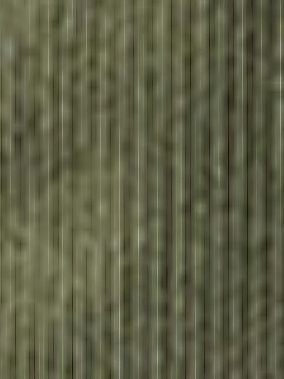 Jacques – Langärmelige Jacke Mit Fronttasche