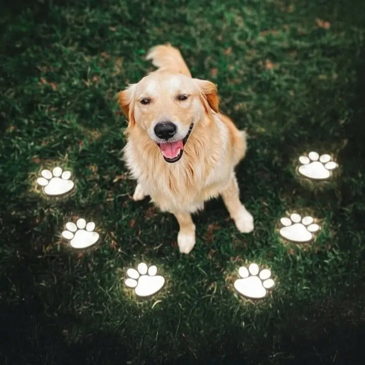 PawGlow – LED-Solar-Gartenleuchte für den Außenbereich